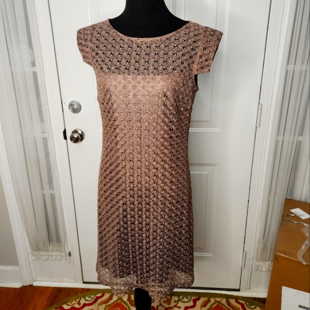 Jax Metallic Crochet Lace Cap Sleeve Knee Length Dress Size 6